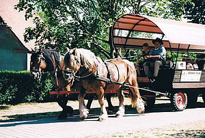 Kremserfahrten beim Ferienhof Mayer