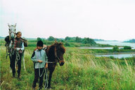 Ausritt an der Elbe