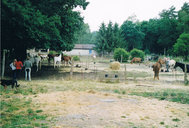 Paddocks