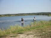 Schwimmen im See